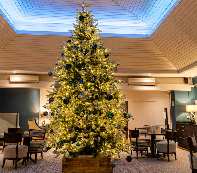 Three-Night Christmas Break