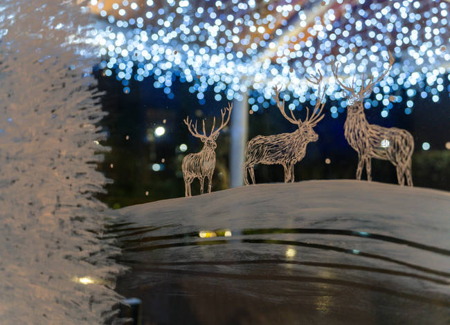 Celebrate Christmas at SbN