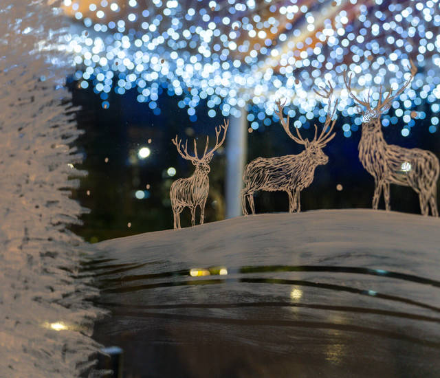 Christmas Winter Breaks & Festive Days Out