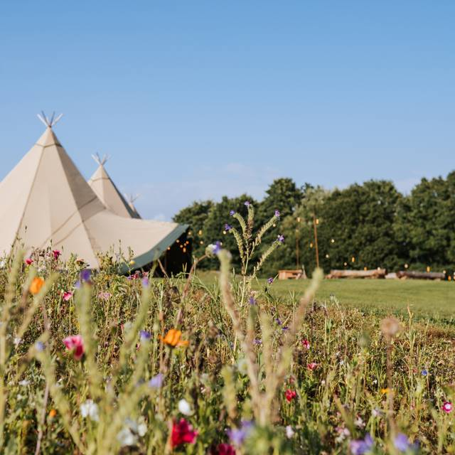 Tipi Weddings in our Wildflower Meadow