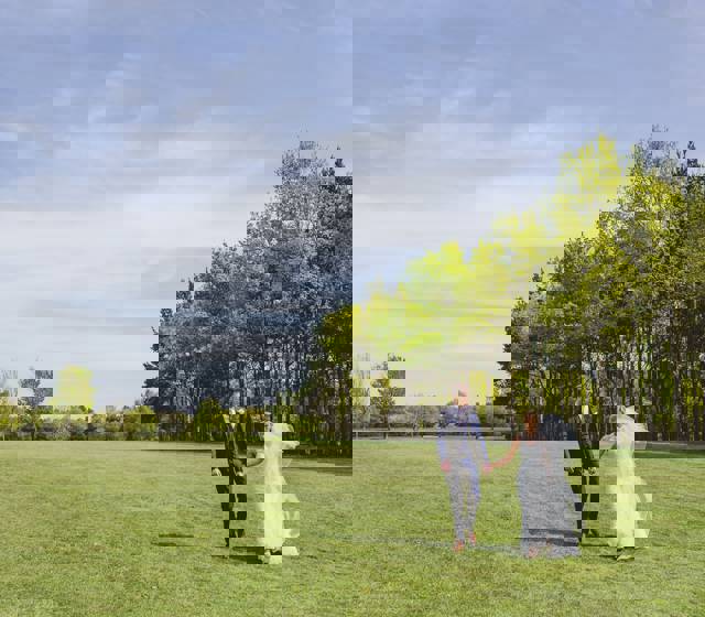 Midsummer 2026 Wedding Offer